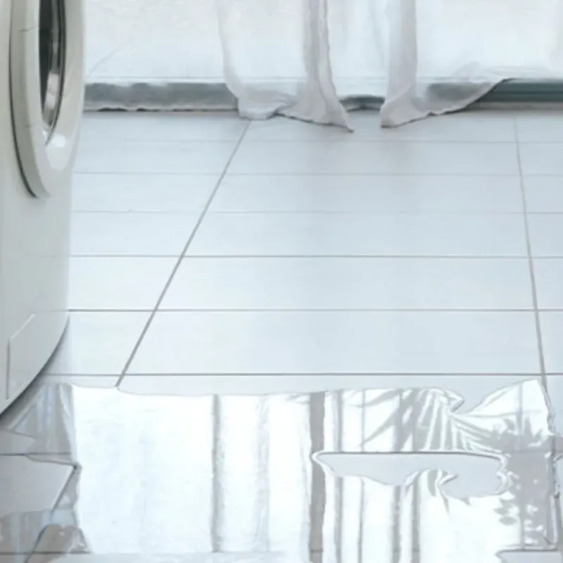 Appliance Leak Cleanup in Harvey, MI