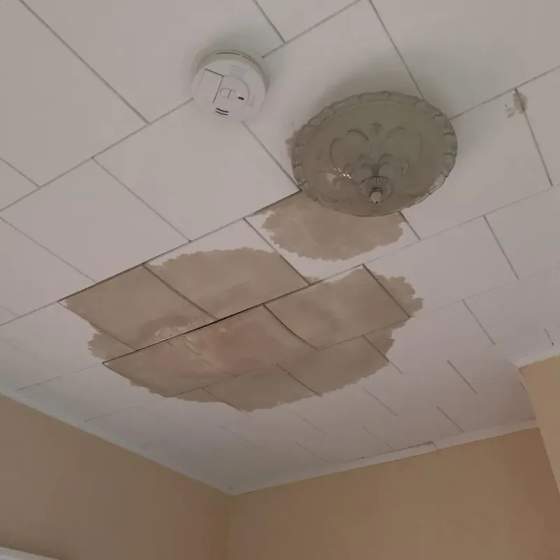 Ceiling Water Damage Repair in Harvey, MI