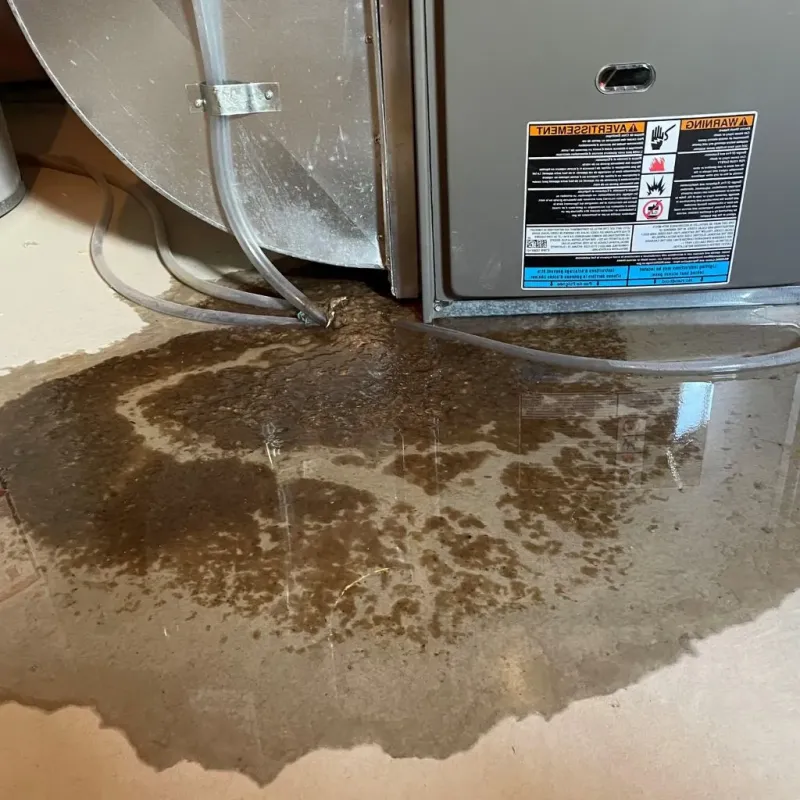 Pipe Burst and Leak Restoration in Harvey, MI