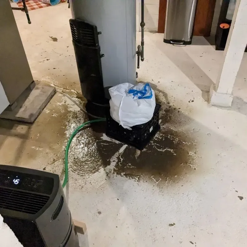 Sewage Backup Cleanup Service in Harvey, MI